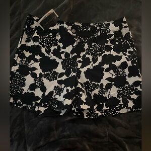 Brand new Limited shorts-14